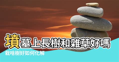 墳墓上長樹|風水學——墳地前有樹好嗎？墳墓種樹風水宜與忌